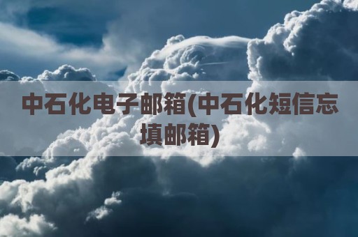 中石化电子邮箱(中石化短信忘填邮箱)