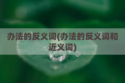 办法的反义词(办法的反义词和近义词)