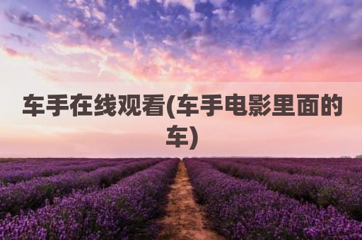 车手在线观看(车手电影里面的车)