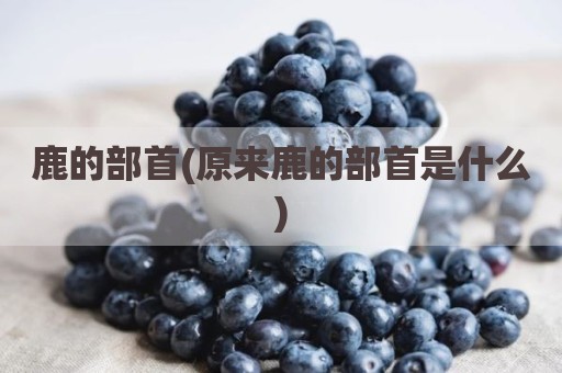 鹿的部首(原来鹿的部首是什么)