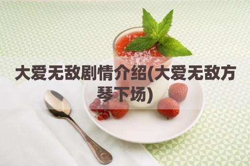 大爱无敌剧情介绍(大爱无敌方琴下场)