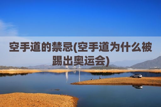 空手道的禁忌(空手道为什么被踢出奥运会)