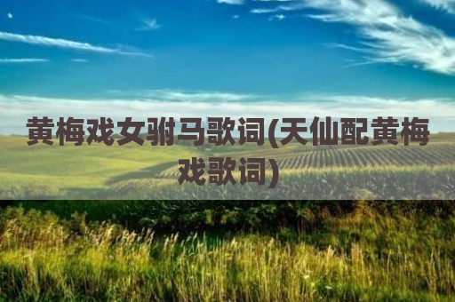 黄梅戏女驸马歌词(天仙配黄梅戏歌词)