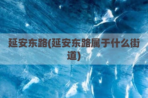 延安东路(延安东路属于什么街道)