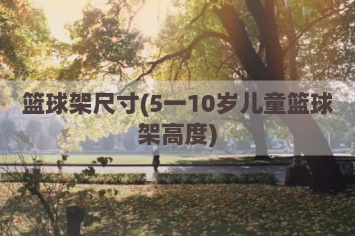 篮球架尺寸(5一10岁儿童篮球架高度)