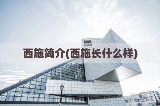 西施简介(西施长什么样)