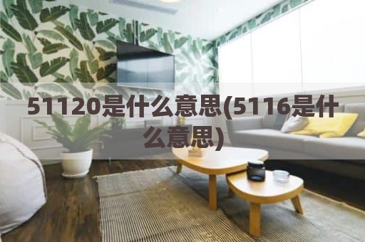 51120是什么意思(5116是什么意思)