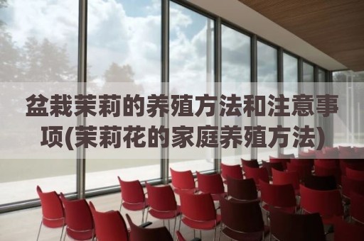 盆栽茉莉的养殖方法和注意事项(茉莉花的家庭养殖方法)