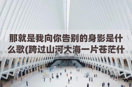 那就是我向你告别的身影是什么歌(跨过山河大海一片苍茫什么歌)