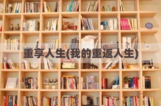 重享人生(我的重返人生)