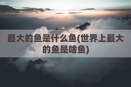 最大的鱼是什么鱼(世界上最大的鱼是啥鱼)
