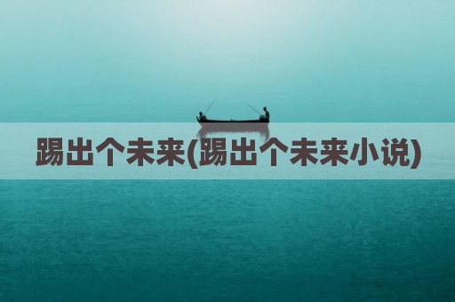 踢出个未来(踢出个未来小说)
