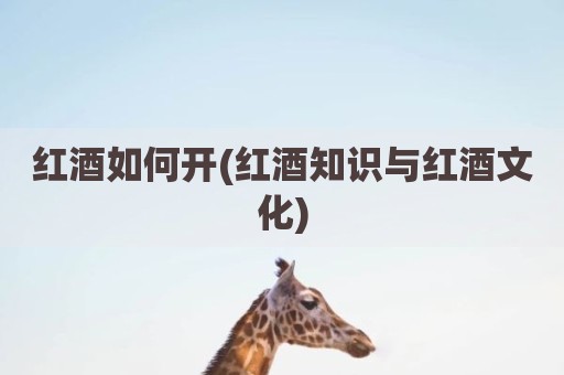 红酒如何开(红酒知识与红酒文化)
