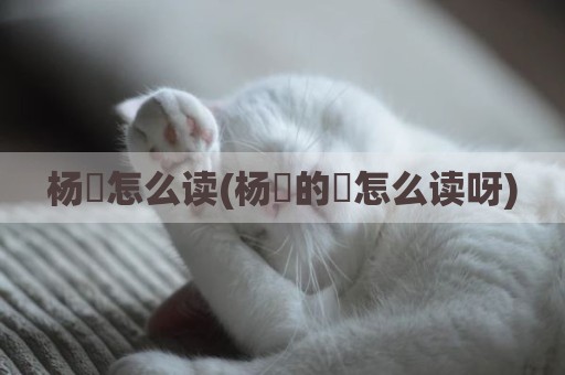 杨玏怎么读(杨烔的烔怎么读呀)
