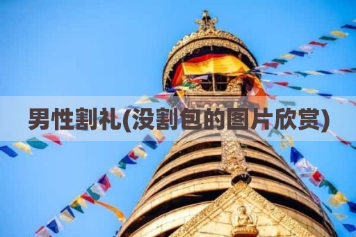 男性割礼(没割包的图片欣赏)