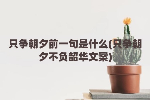 只争朝夕前一句是什么(只争朝夕不负韶华文案)
