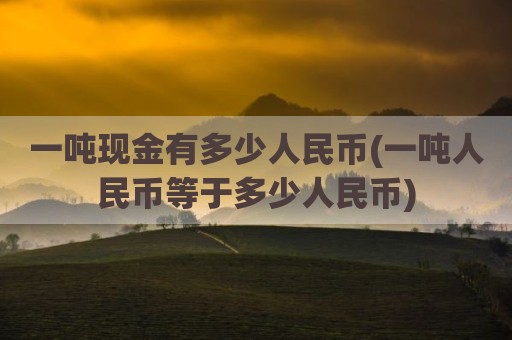 一吨现金有多少人民币(一吨人民币等于多少人民币)