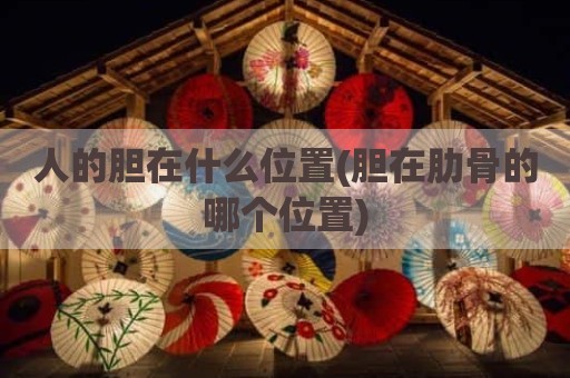 人的胆在什么位置(胆在肋骨的哪个位置)