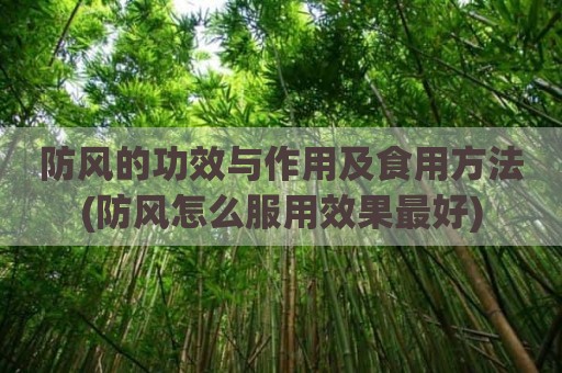 防风的功效与作用及食用方法(防风怎么服用效果最好)