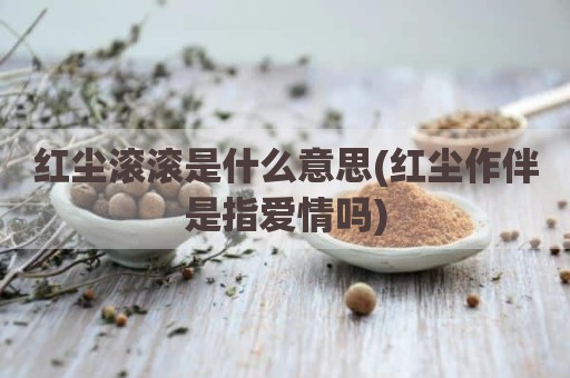 红尘滚滚是什么意思(红尘作伴是指爱情吗)