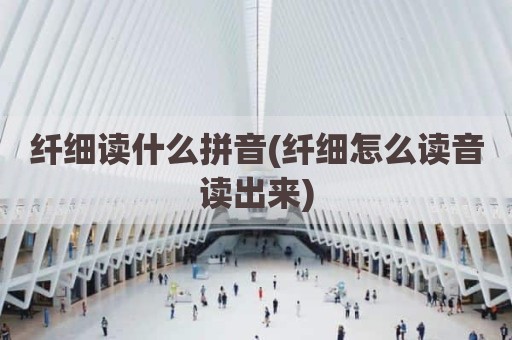 纤细读什么拼音(纤细怎么读音读出来)