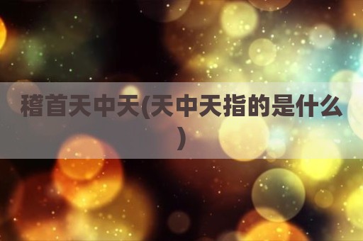 稽首天中天(天中天指的是什么)