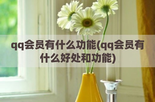 qq会员有什么功能(qq会员有什么好处和功能)