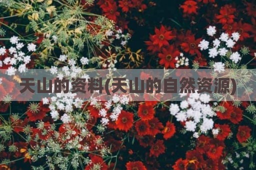 天山的资料(天山的自然资源)