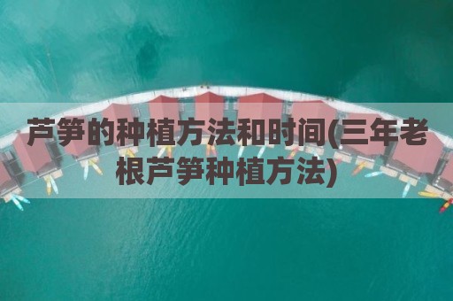 芦笋的种植方法和时间(三年老根芦笋种植方法)