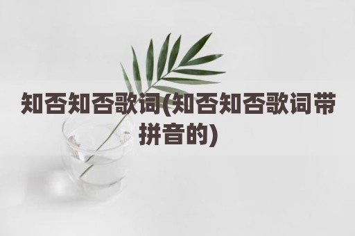 知否知否歌词(知否知否歌词带拼音的)