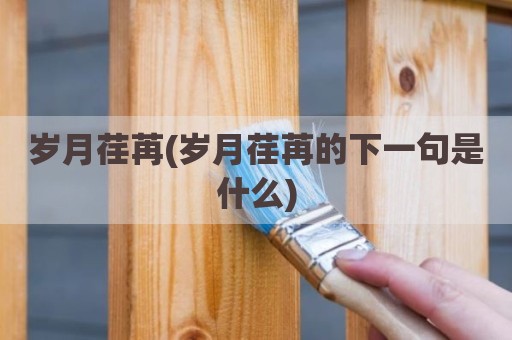 岁月荏苒(岁月荏苒的下一句是什么)
