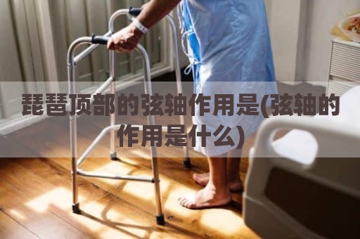 琵琶顶部的弦轴作用是(弦轴的作用是什么)