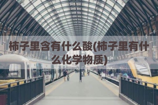 柿子里含有什么酸(柿子里有什么化学物质)