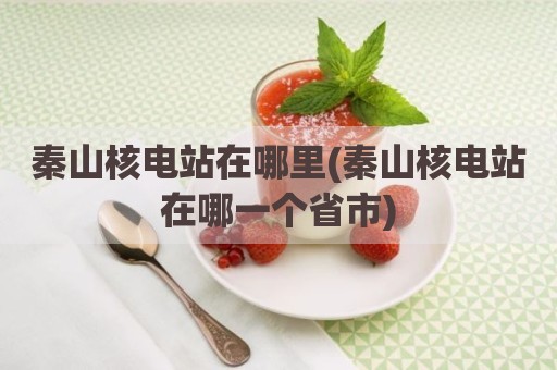 秦山核电站在哪里(秦山核电站在哪一个省市)