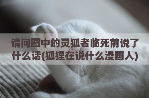 请问图中的灵狐者临死前说了什么话(狐狸在说什么漫画人)