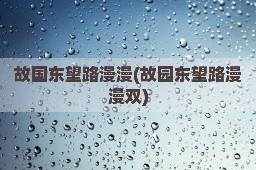 故国东望路漫漫(故园东望路漫漫双)