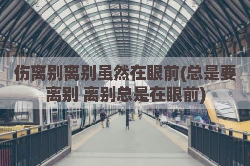 伤离别离别虽然在眼前(总是要离别 离别总是在眼前)
