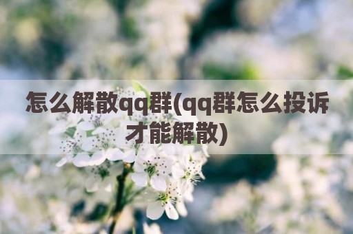 怎么解散qq群(qq群怎么投诉才能解散)