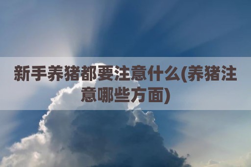 新手养猪都要注意什么(养猪注意哪些方面)