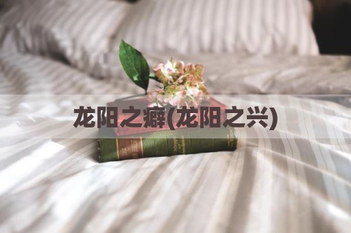 龙阳之癖(龙阳之兴)