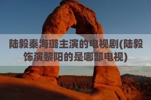 陆毅秦海璐主演的电视剧(陆毅饰演黎阳的是哪部电视)