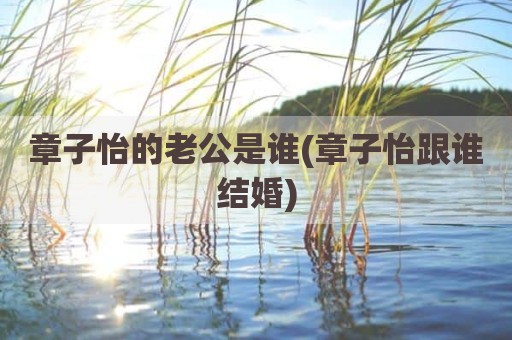 章子怡的老公是谁(章子怡跟谁结婚)