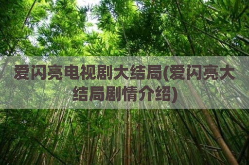 爱闪亮电视剧大结局(爱闪亮大结局剧情介绍)