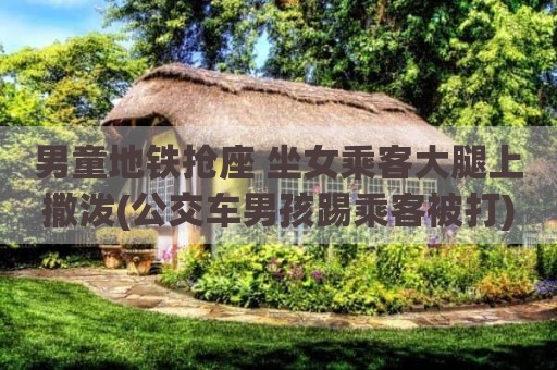 男童地铁抢座 坐女乘客大腿上撒泼(公交车男孩踢乘客被打)