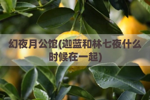 幻夜月公馆(迦蓝和林七夜什么时候在一起)