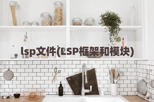 lsp文件(LSP框架和模块)