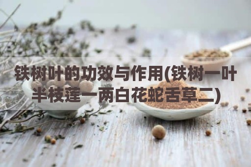 铁树叶的功效与作用(铁树一叶半枝莲一两白花蛇舌草二)