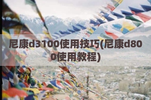尼康d3100使用技巧(尼康d800使用教程)