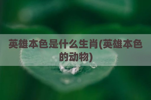 英雄本色是什么生肖(英雄本色的动物)