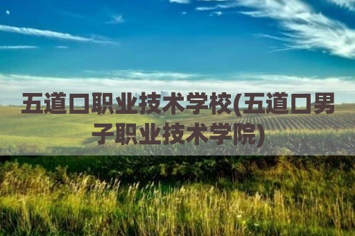 五道口职业技术学校(五道口男子职业技术学院)